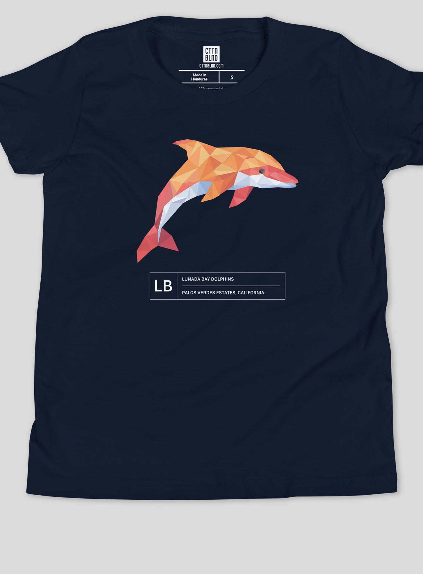 Youth: Lunada Bay Paper Dolphin Tee - Navy